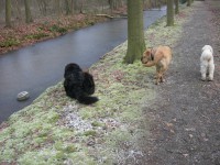 /album/fotogalerij/dscn2200-jpg/