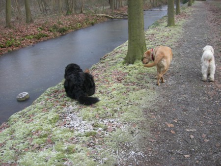 da s hier ook van t zelfde, hard water