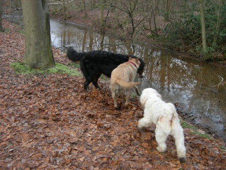 eindelijk! t water is weer zacht !   januari 2016