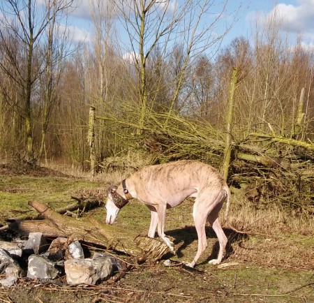 Sam op ontdekkingstocht 